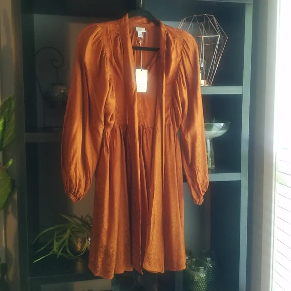 NWT A New Day rust babydoll dress - Picture 4 of 8